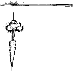 welcome to fraserlandia: please enter